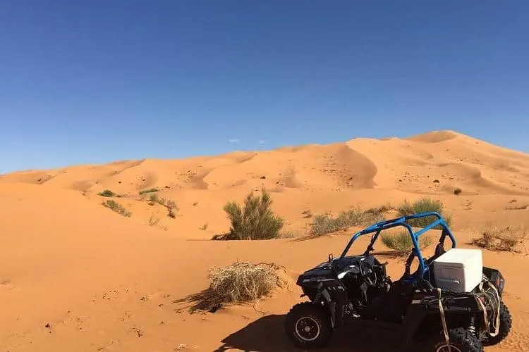 Tour di 2 ore in buggy nell'Erg Chebbi