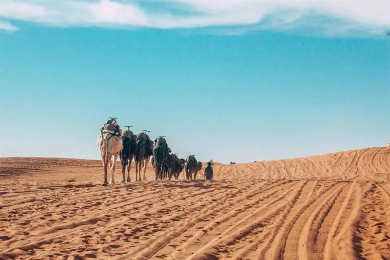 Giro in dromedario all'alba a Merzouga