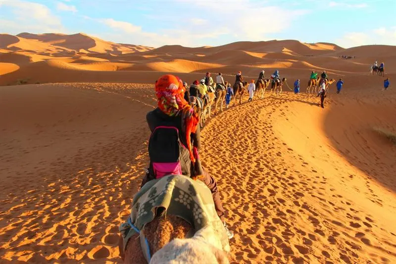 Giro di 1 ora in dromedario tra le dune di Merzouga