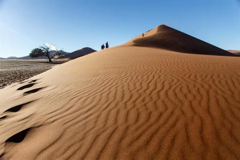 Sandboard nell'Erg Chebbi