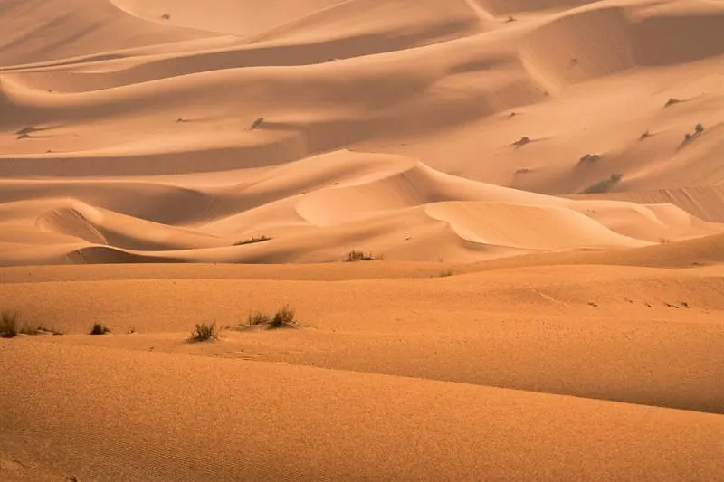 1 ora di buggy a Merzouga