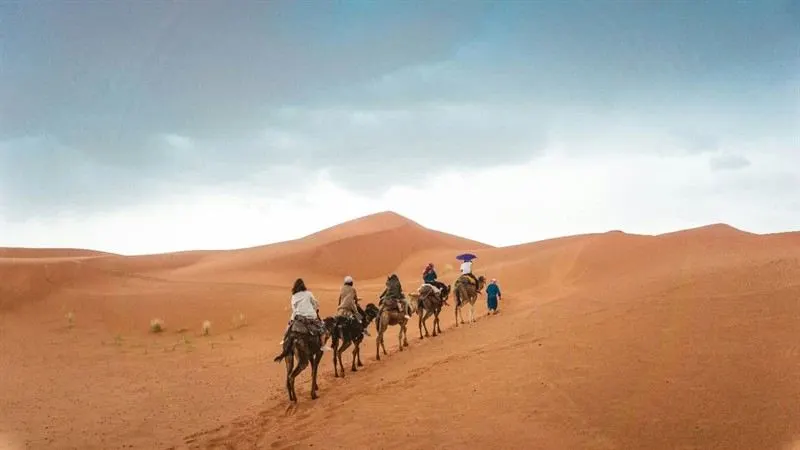 Trekking di 2 giorni in dromedario attraverso l'Erg Chebbi