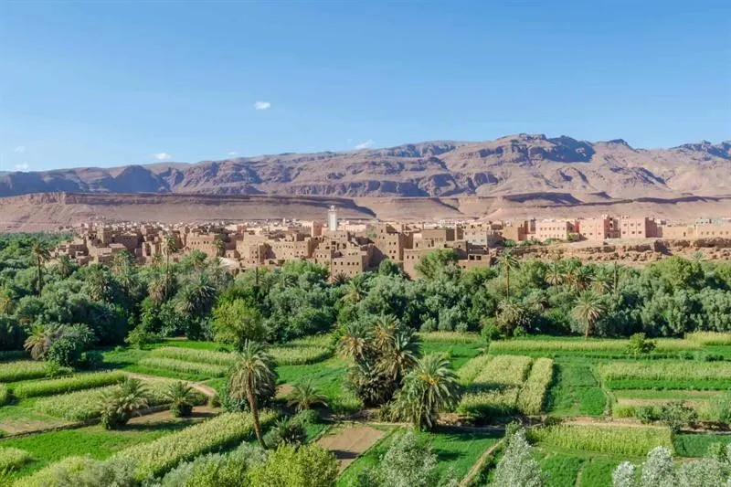 Tour di 4 giorni nel deserto da Marrakech a Fes