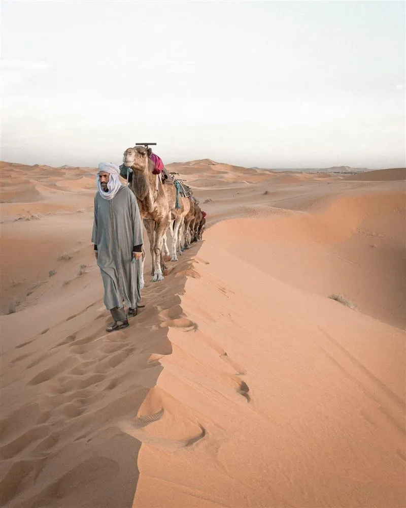 Cameleer leading a caravan in the Sahara