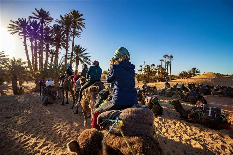 Paseo en dromedario al atardecer en Erg Chebbi